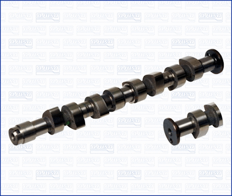 Camshaft (WG1009707)