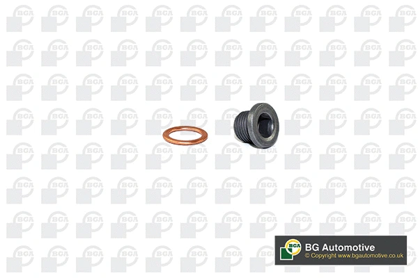 Screw Plug, oil sump (WG1766635)
