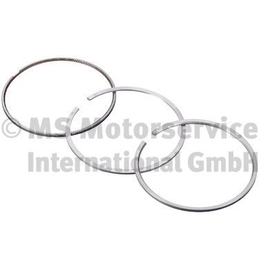 Piston Ring Kit (WG1024843)