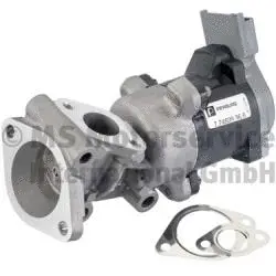 EGR Valve (WG2136371)