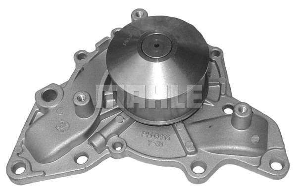 Water Pump, engine cooling (WG2181967)