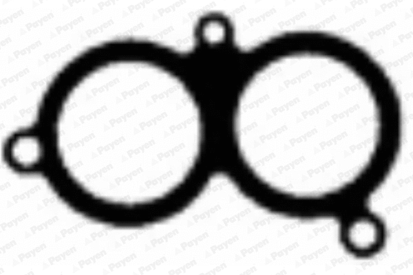 Gasket, intake manifold (WG1182115)