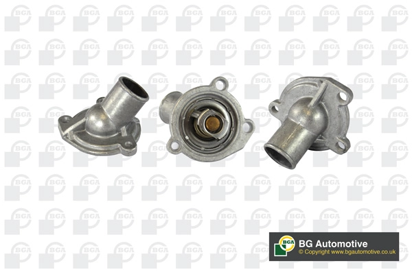 Thermostat, coolant (WG1760504)