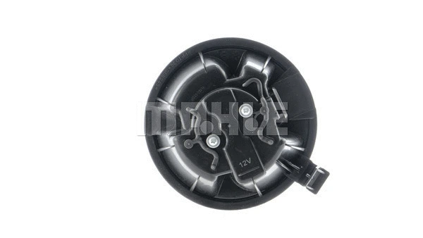 Interior Blower