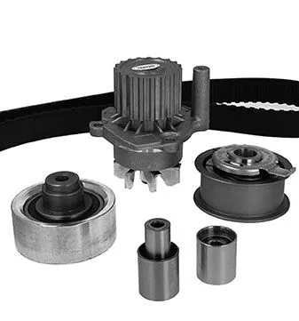 Water Pump & Timing Belt Kit (WG1909488)