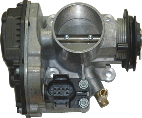 Throttle Body (WG1013478)