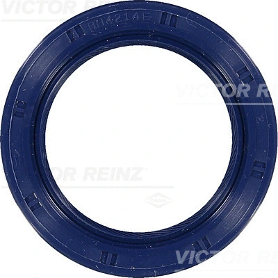 Shaft Seal, crankshaft (WG1250583)