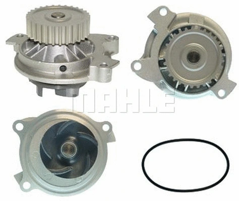 Water Pump, engine cooling (WG2181277)