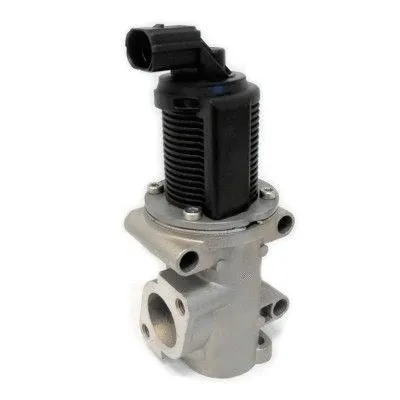 EGR Valve (WG1015259)