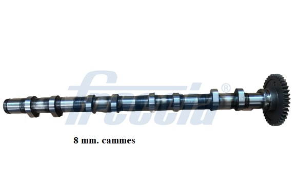 Camshaft (WG1909829)