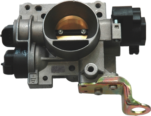 Throttle Body (WG1013476)
