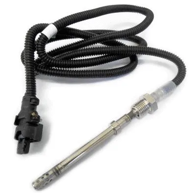 Sensor, exhaust gas temperature (WG1268358)