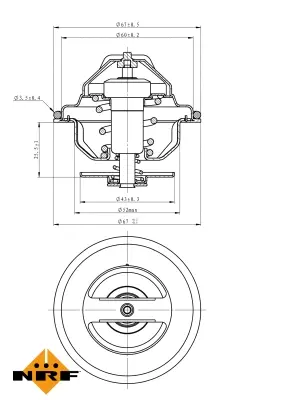 Thermostat, coolant
