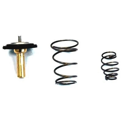 Thermostat, coolant (WG1409468)