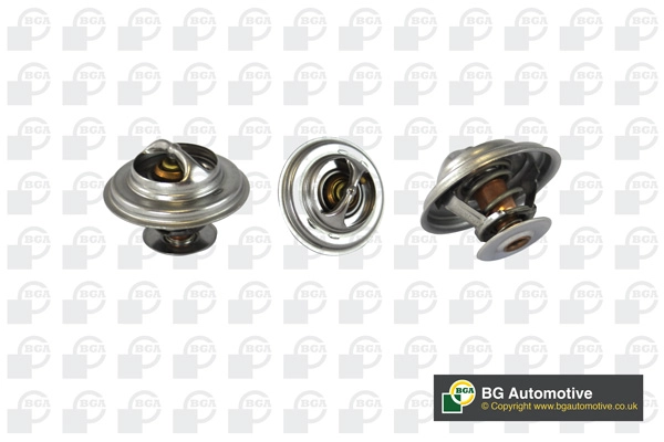 Thermostat, coolant (WG1760531)