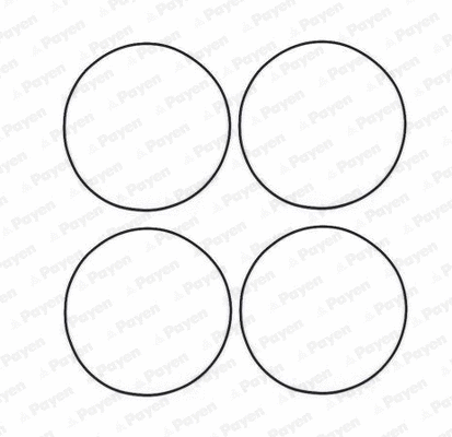 O-Ring Set, cylinder sleeve (WG1281752)