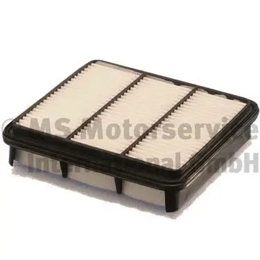 Air Filter (WG1019147)