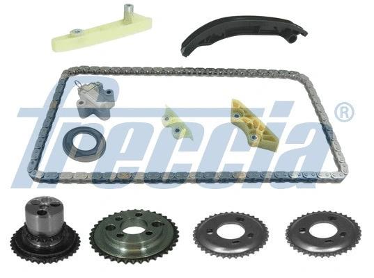 Timing Chain Kit (WG1910047)
