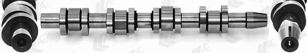 Camshaft (WG1939157)