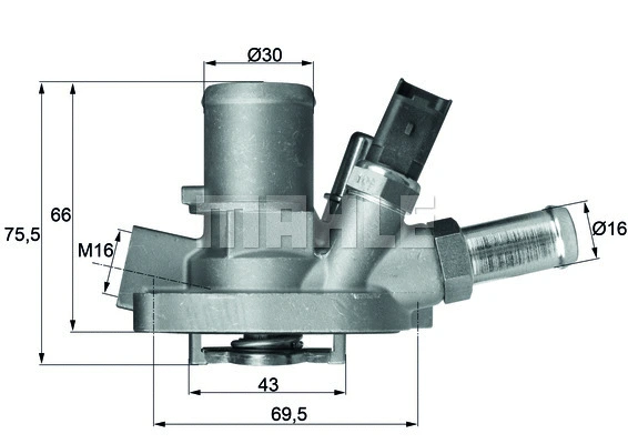 Thermostat, coolant (WG1217594)