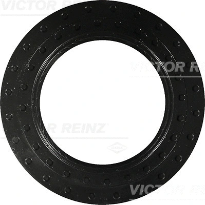 Shaft Seal, crankshaft (WG1249845)