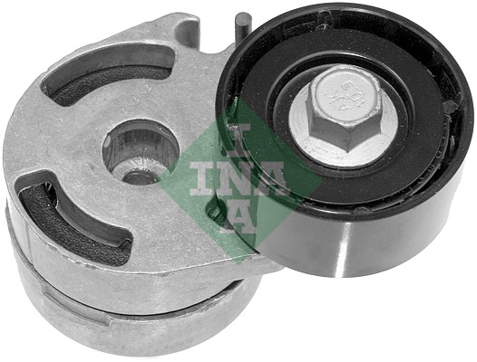 Belt Tensioner, V-ribbed belt (WG1253419)
