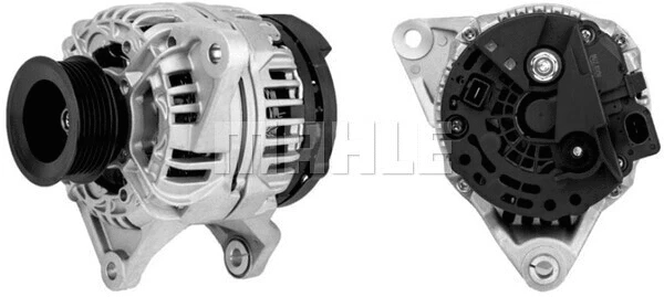 Alternator (WG2203025)