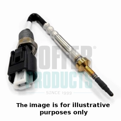 Sensor, exhaust gas temperature (WG1978124)