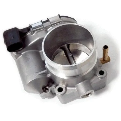 Throttle Body (WG1719789)
