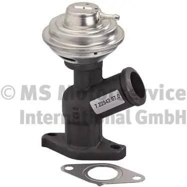 EGR Valve (WG1026867)