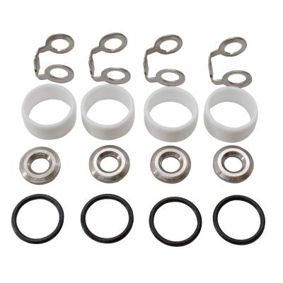 Seal Ring, injector (WG2263592)