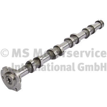 Camshaft (WG1380604)