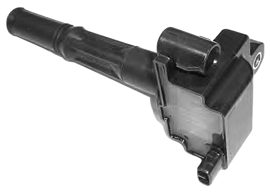 Ignition Coil (WG1012405)
