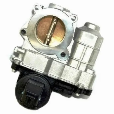 Throttle Body (WG1013593)