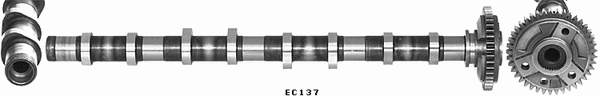Camshaft (WG2101429)