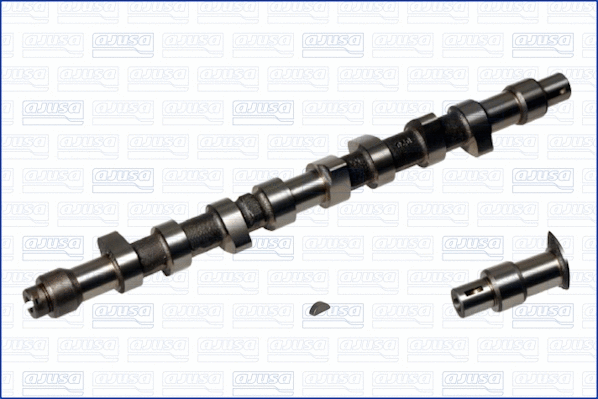 Camshaft (WG1170823)