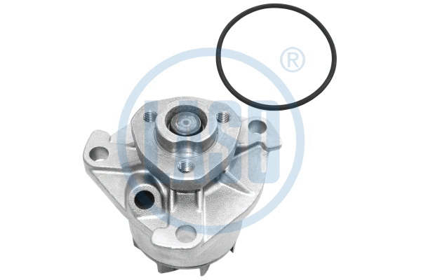 Water Pump, engine cooling (WG1709887)