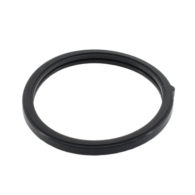 Seal, thermostat (WG2193972)