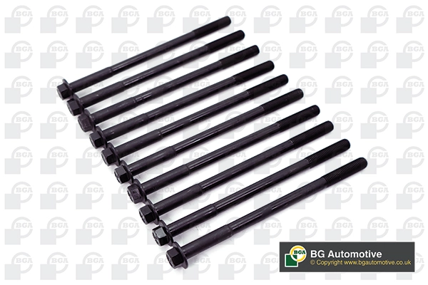 Cylinder Head Bolt Set (WG1490119)