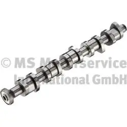 Camshaft (WG1017705)