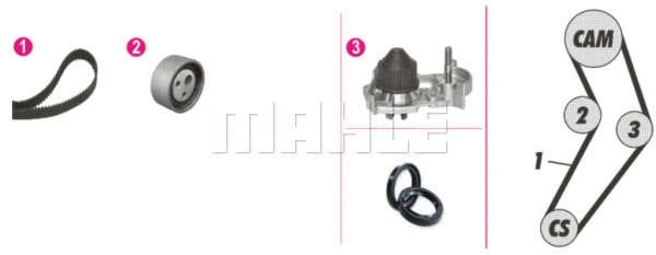 Water Pump & Timing Belt Kit (WG2182193)