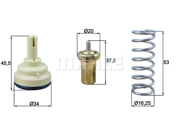 Thermostat, coolant (WG1426542)