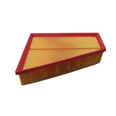 Air Filter (WG2152125)
