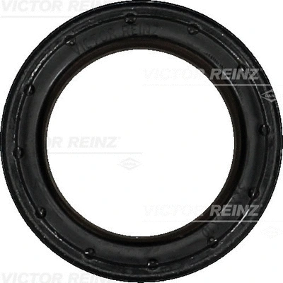 Shaft Seal, camshaft (WG1103968)