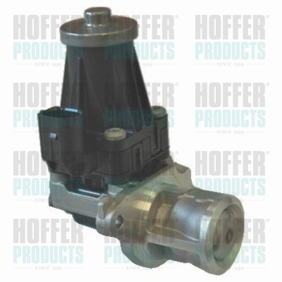 EGR Valve (WG1749288)