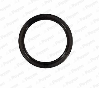 Shaft Seal, crankshaft (WG2202522)