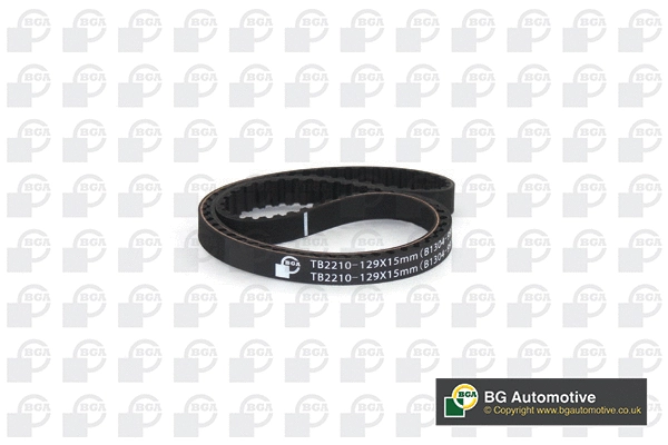 Timing Belt (WG2258609)