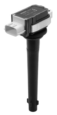 Ignition Coil (WG1487622)