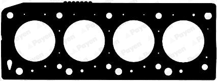 Gasket, cylinder head (WG1090862)