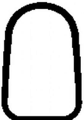 Gasket, intake manifold (WG1765016)